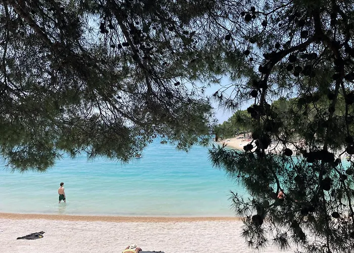 Sea House بيت للعطل