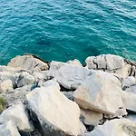 別荘 Seahouse